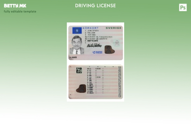 Модерен стил Шведска возачка дозвола (сегашен) шаблон